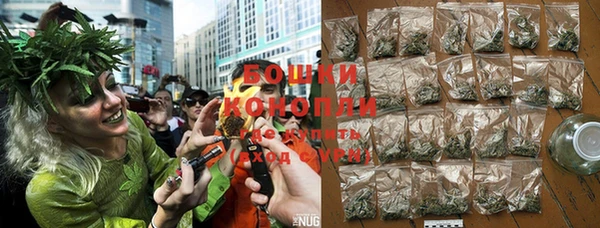 spice Елабуга