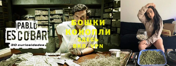 спиды Елизово
